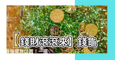 錢龜擺放位置|【錢龜怎麼放】錢龜擺放大公開！招財金錢龜御守禮盒的神奇效用。